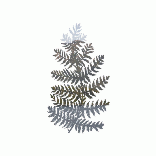 Blien Vesne : Palma de la India